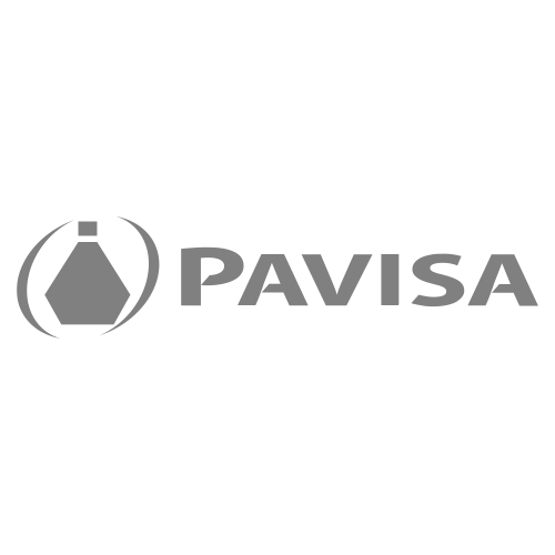 PAVISA WEB